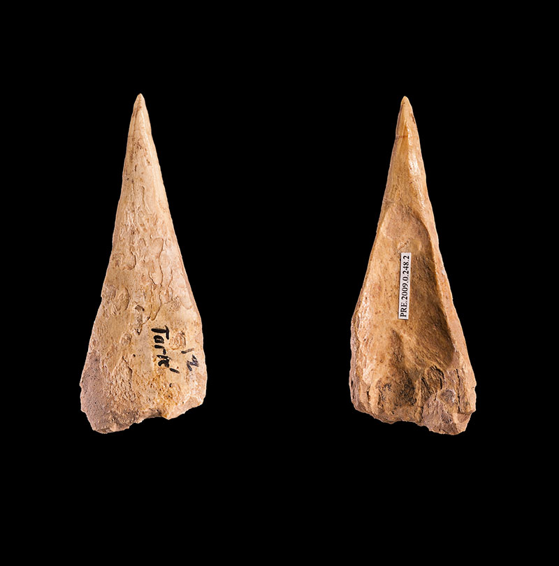 Hollowed Bone
