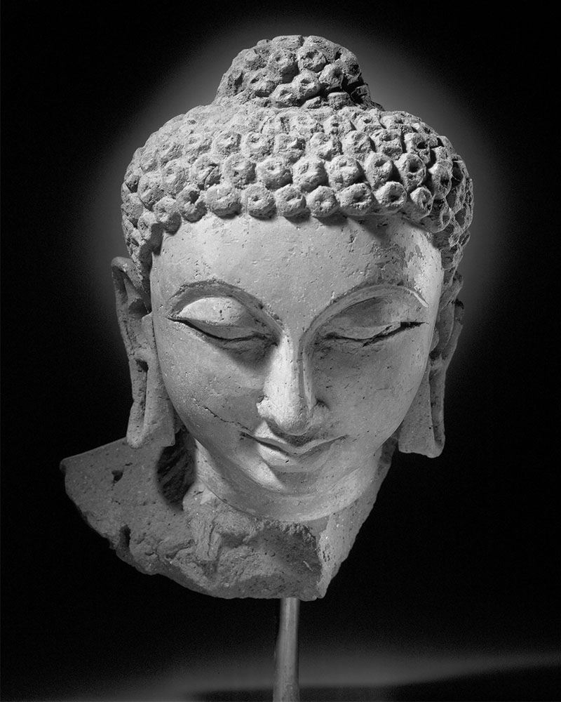 A terracotta sculpture of the head of Shakyamuni Buddha, with closed eyes and a serene expression.
