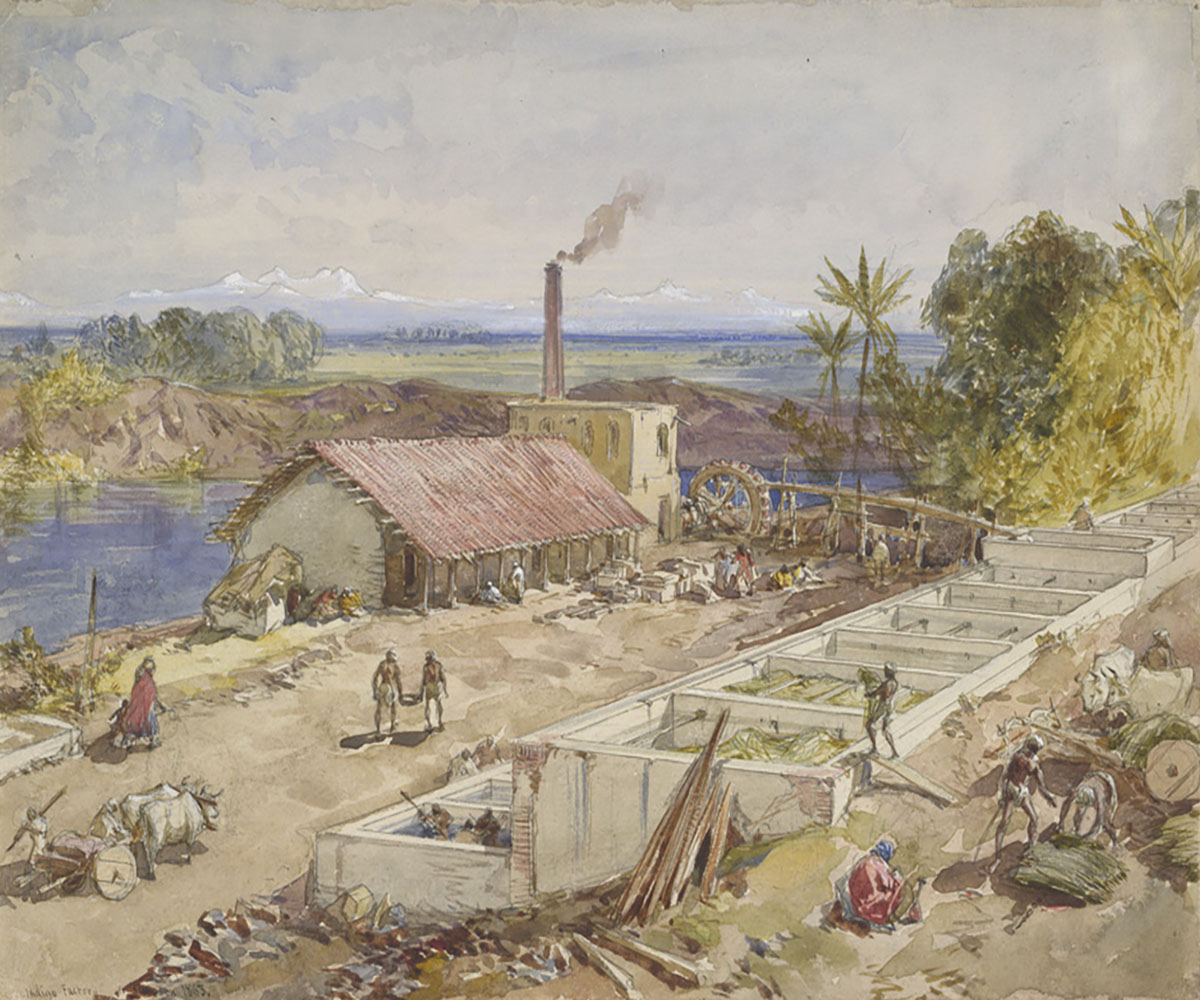 A watercolour painting of Indigo leaves being churned in pits, before being taken into a factory. A river and mountains in the background