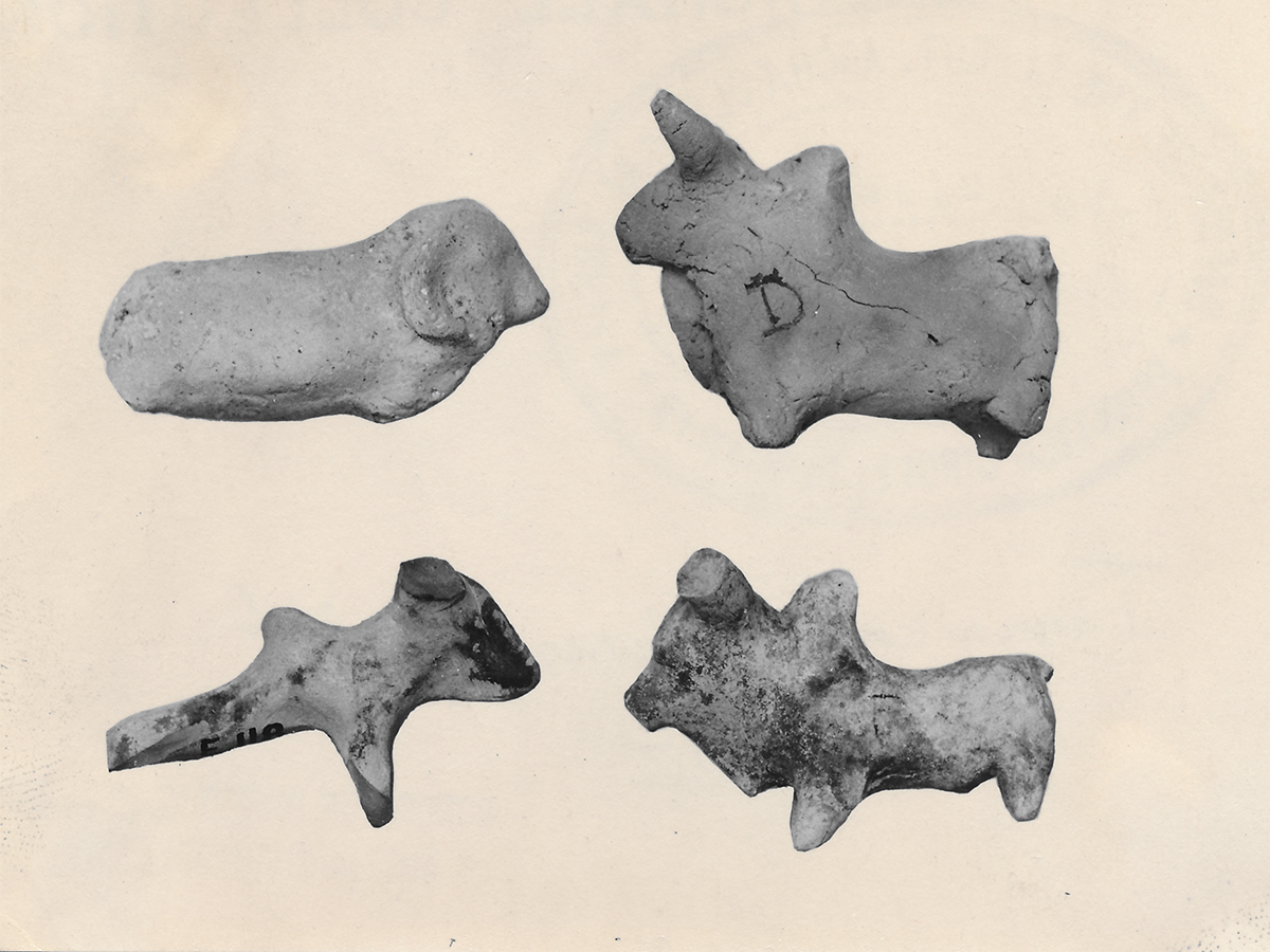 A collection of documentary photographs of four terracotta animal figures excavated from Nal in present-day Pakistan.