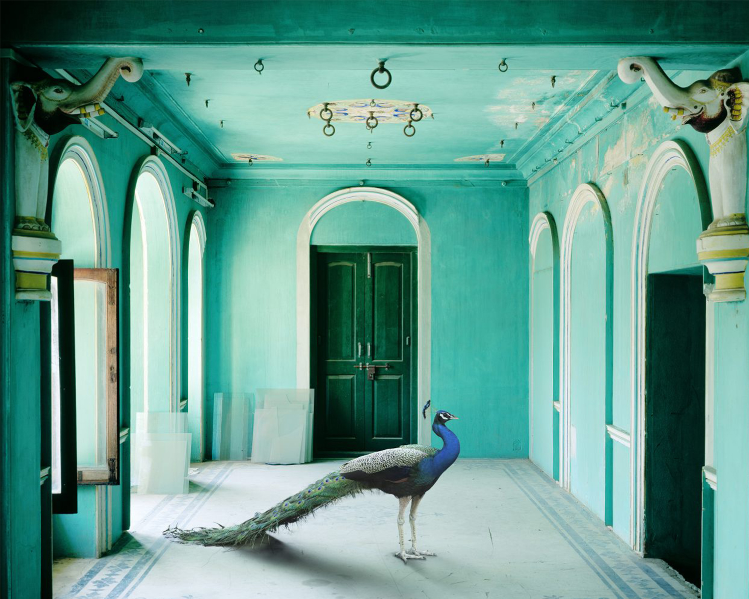 A composite photograph of a peacock inside the aquamarine Queen’s Room in the Udaipur City Palace.