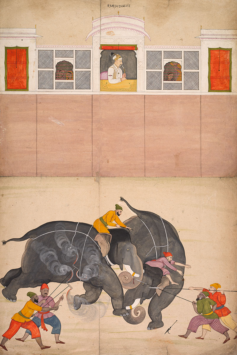 A painting depicting a seated Muhammad Shah looking at two elephants fighting in a courtyard.