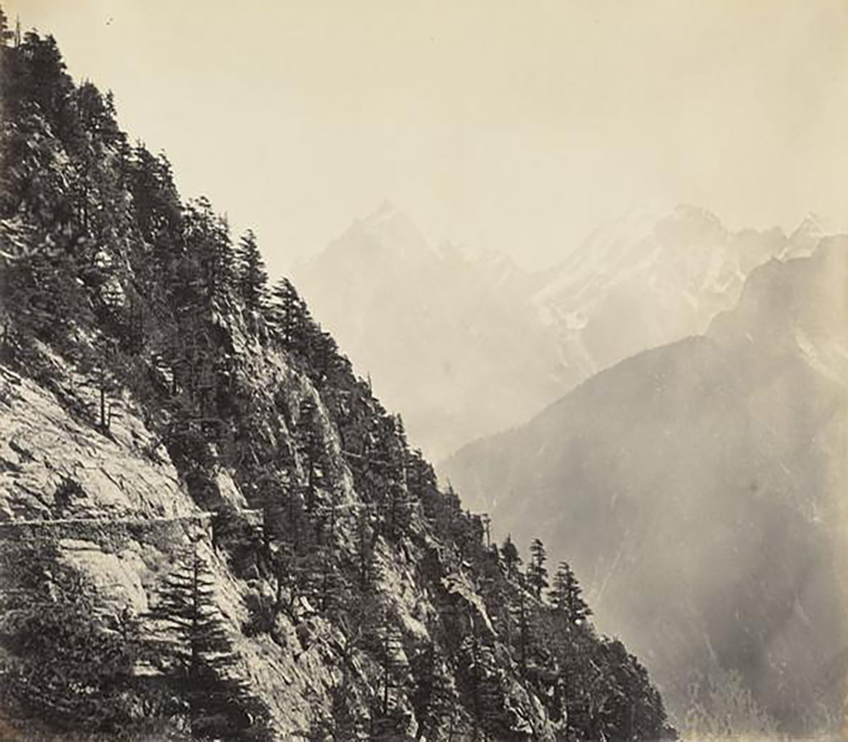 A sepia-toned view of a tree-laden mountainside in the Himalayas, with snow-capped peaks faintly visible in the background.