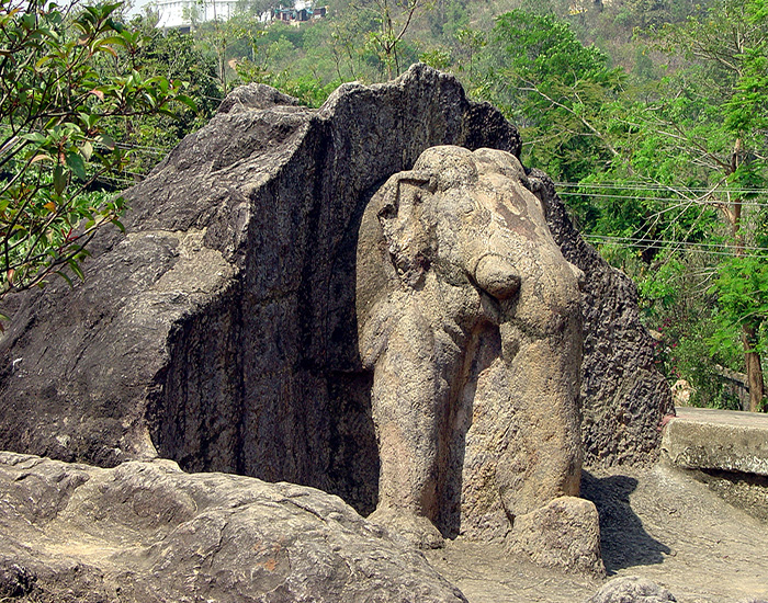 Dhauli Elephant - MAP Academy